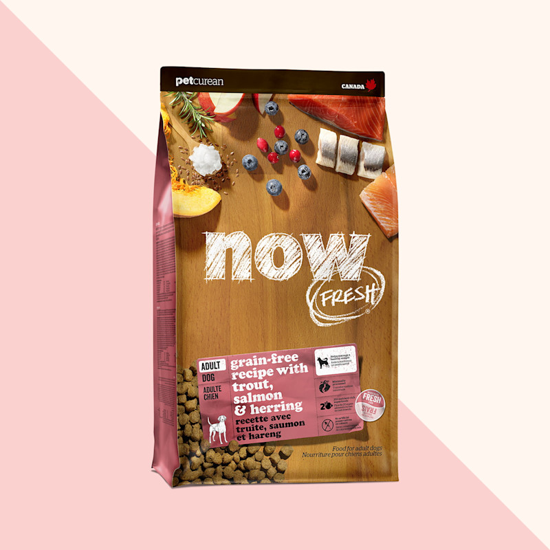 Now Fresh Grain-Free Recipe with Trout, Salmon & Herring dry food for adult dogs
