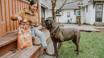 Woman feeding senior Chocolate Lab Now Fresh senior dog food