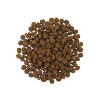 Go! Skin + Coat Care Large Breed Puppy kibble