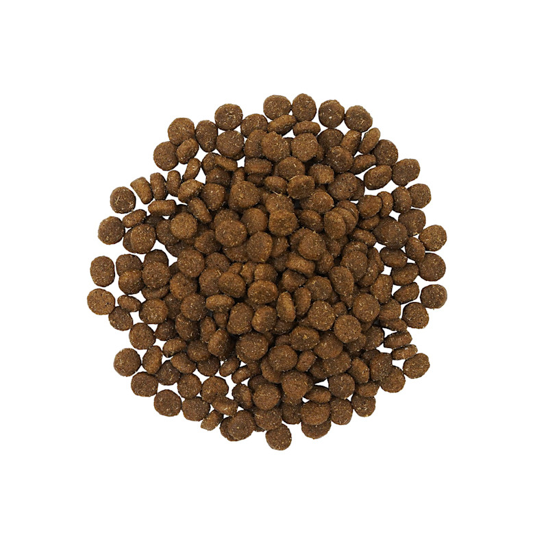 Go! Skin + Coat Care Large Breed Puppy kibble