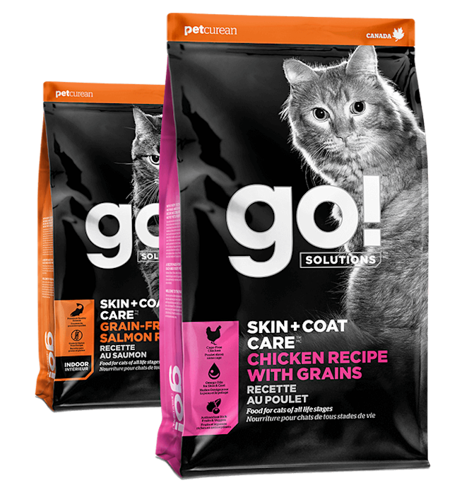 Go! Solutions Skin + Coat Care dry food recipes for cats