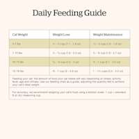 Now Fresh Adult Recipe cat food feeding guide