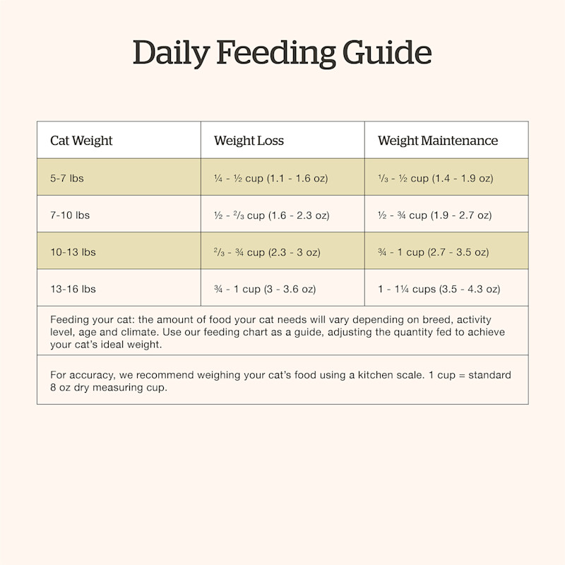 Now Fresh Adult Recipe cat food feeding guide
