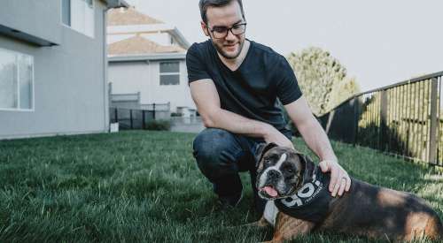 Boxer dog with GO! SOLUTIONS bandana laying on green grass with pet parent