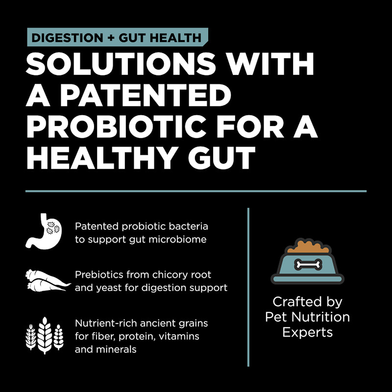 Solutions with a patented probiotic for a healthy gut