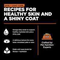 Recipes for healthy skin and a shiny coat