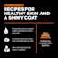 Recipes for healthy skin and a shiny coat