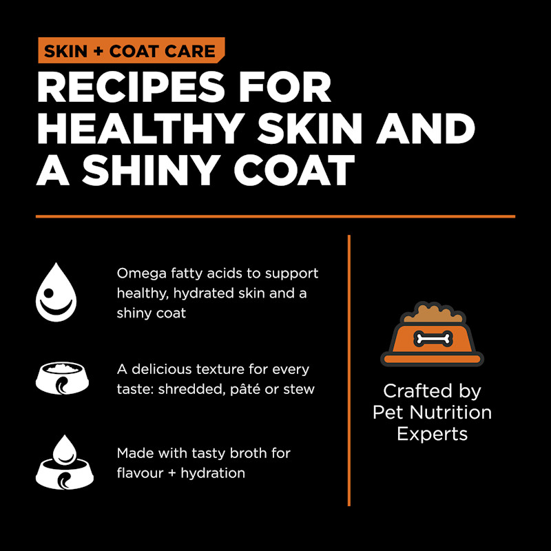 Recipes for healthy skin and a shiny coat