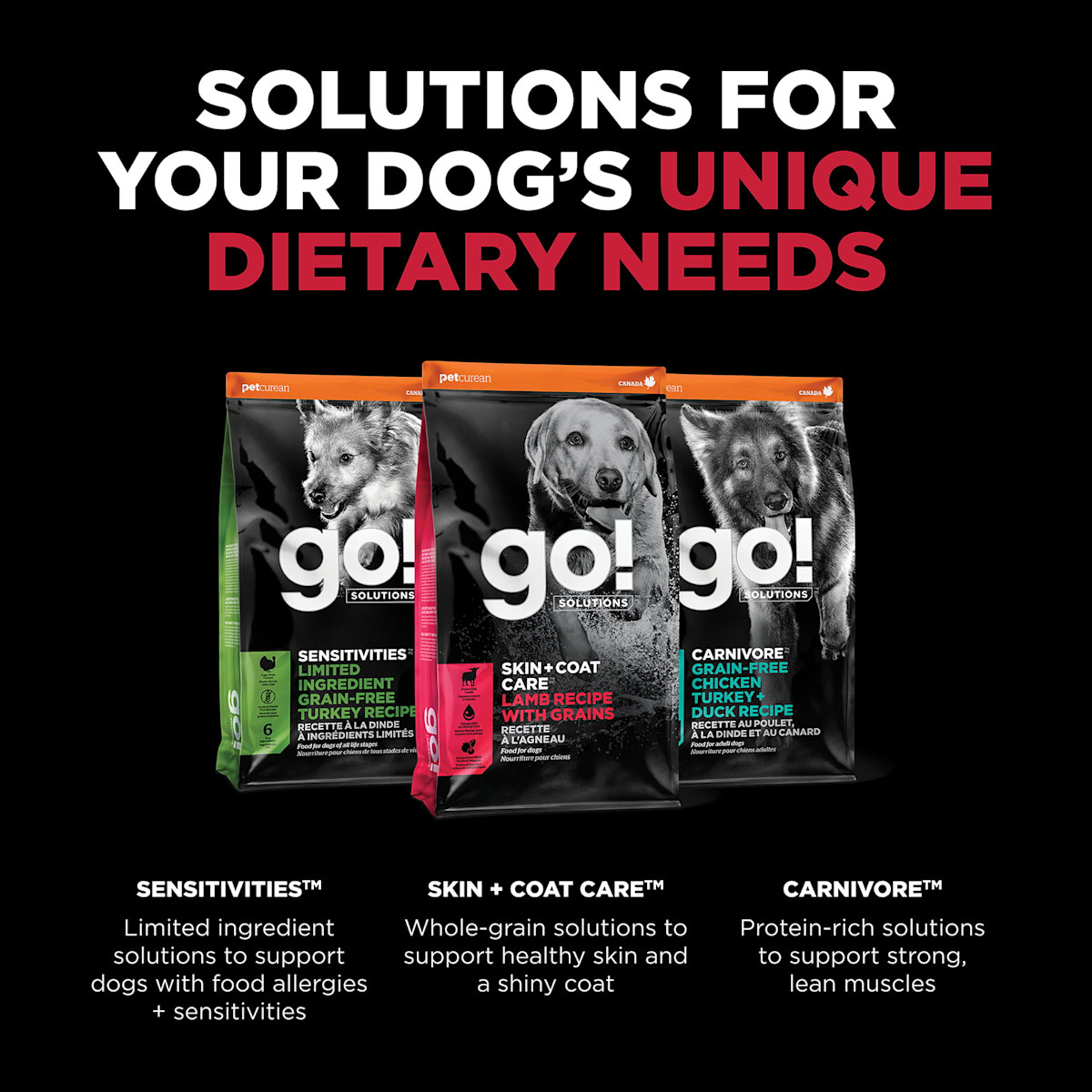 Explore our other solutions for your dog's unique dietary needs