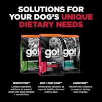 Explore our other solutions for your dog's unique dietary needs