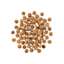 GO! SOLUTIONS SKIN + COAT CARE Duck Recipe with Grains for Dogs kibble