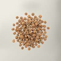 Now Fresh fish cat food kibble