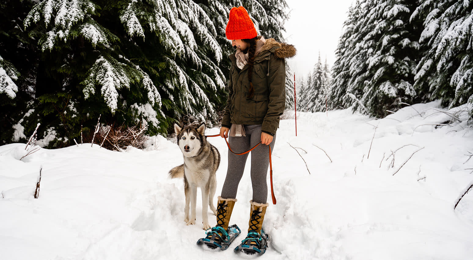 5 Fun Dog Activities to Keep Them Active This Winter