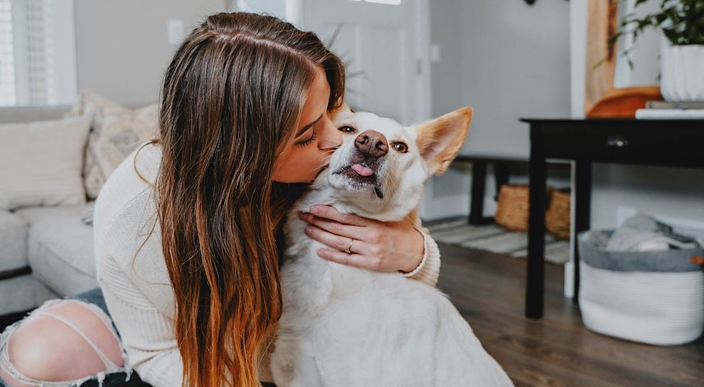Pet parent giving dog a kiss in the living room