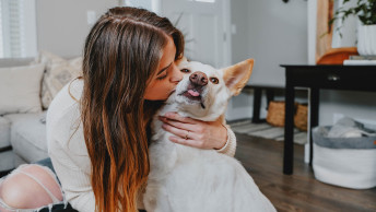 Pet parent giving dog a kiss in the living room