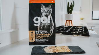 GO! DIGESTION + GUT HEALTH cat food bag on kitchen counter with grains