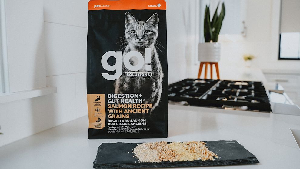 GO! DIGESTION + GUT HEALTH cat food bag on kitchen counter with grains