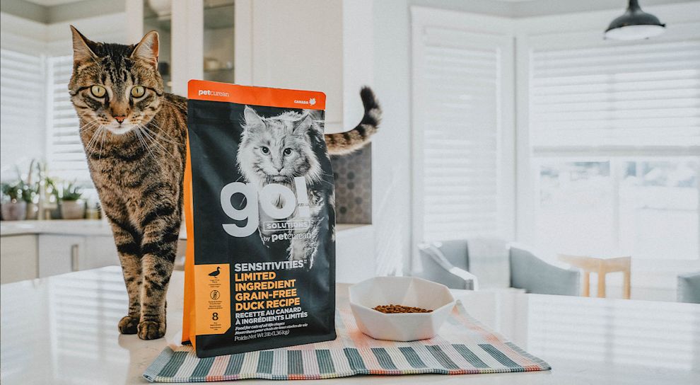 Brown cat standing on table with bowl and GO! SOLUTIONS SENSITIVITIES duck kibble bag