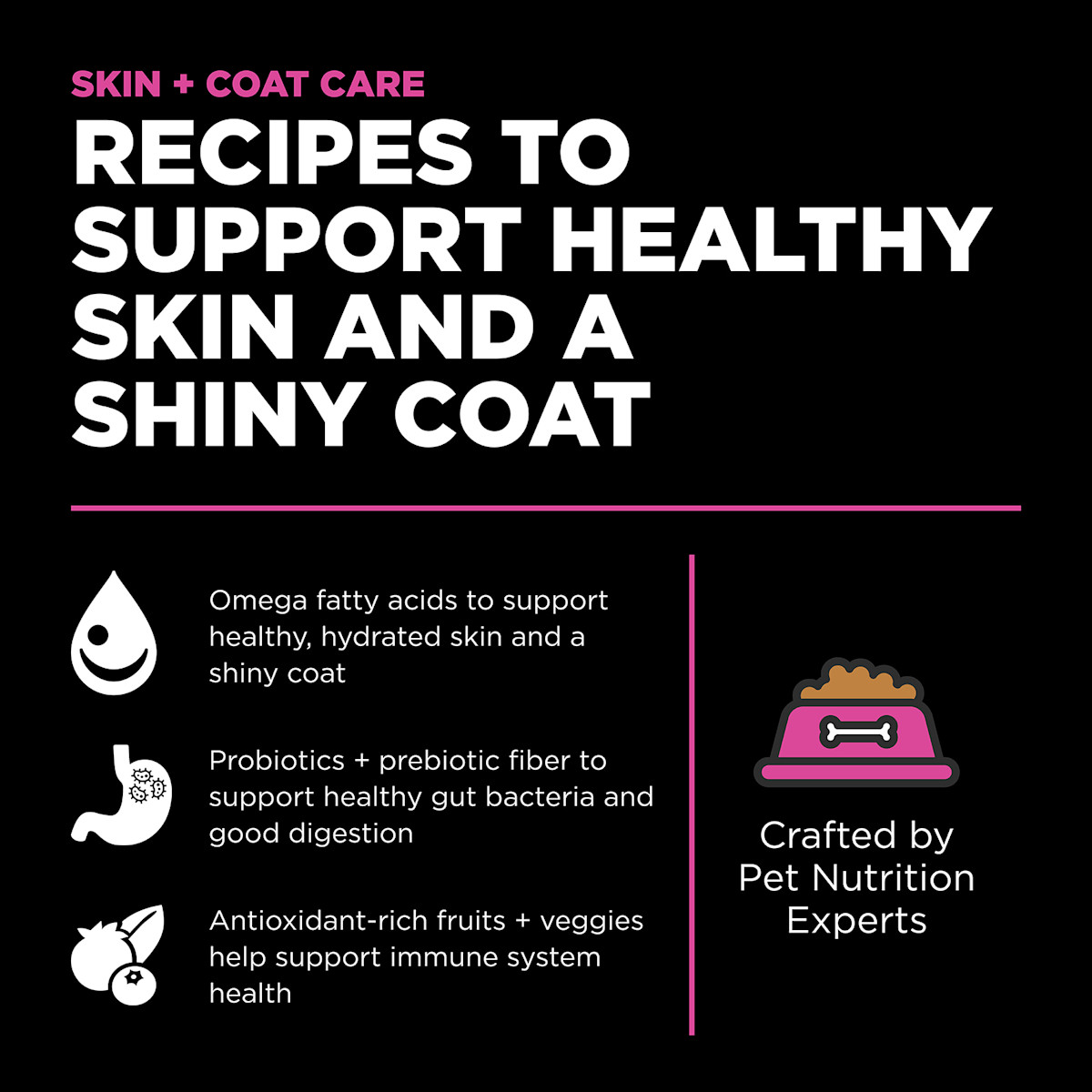 Recipes to support healthy skin and a shiny coat