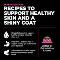 Recipes to support healthy skin and a shiny coat