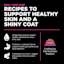 Recipes to support healthy skin and a shiny coat