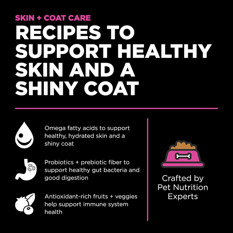 Recipes to support healthy skin and a shiny coat