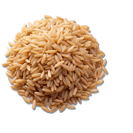 Beef & Rice Ground Wet Dog Food with Grains | Now Fresh