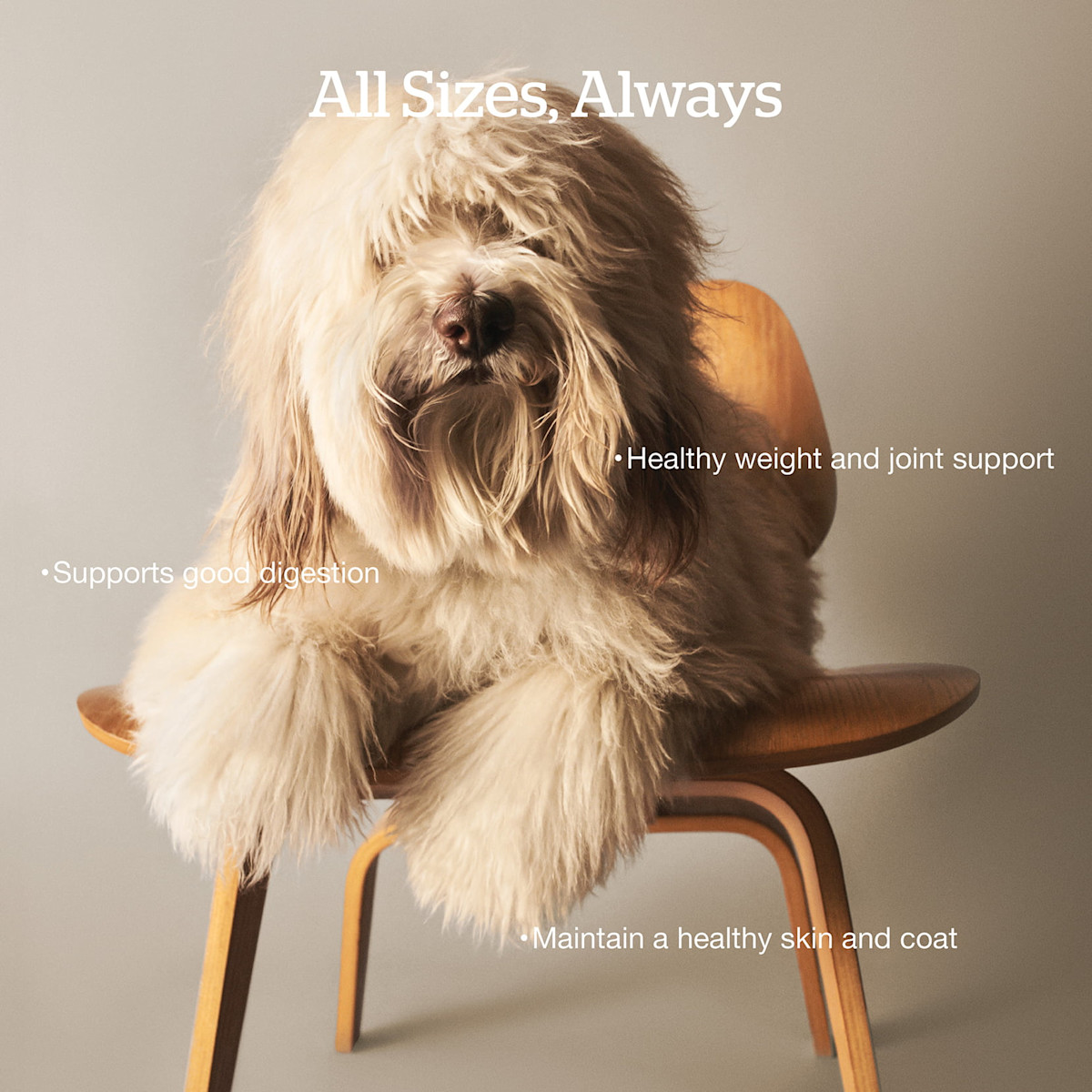 Healthy weight and joint support, supports good digestion, maintains a healthy skin and coat