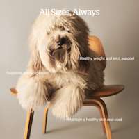 Healthy weight and joint support, supports good digestion, maintains a healthy skin and coat