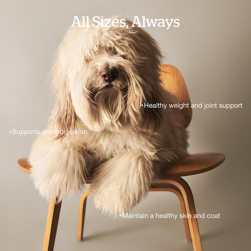 Healthy weight and joint support, supports good digestion, maintains a healthy skin and coat