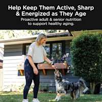 Help keep them active, sharp, and energized as they age