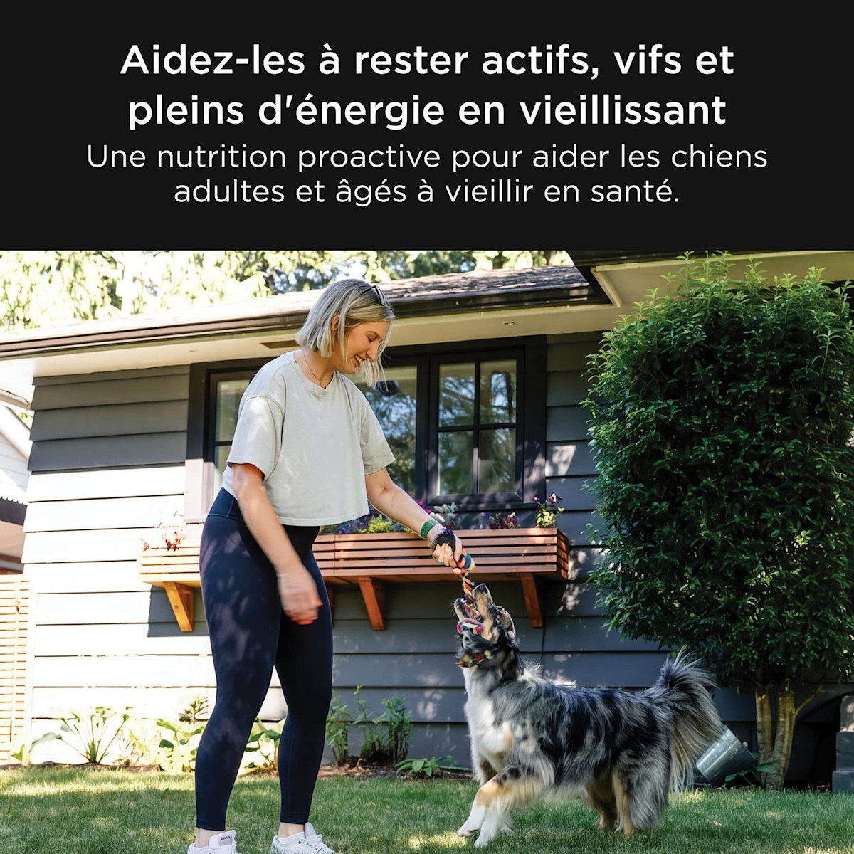 Help keep them active, sharp, and energized as they age