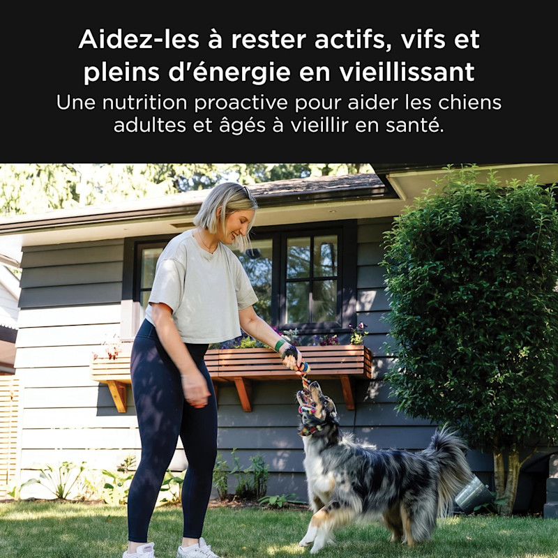 Help keep them active, sharp, and energized as they age