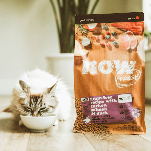 Now Fresh Senior Grain-Free Turkey, Salmon & Duck Dry Cat Food
