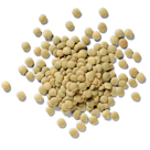 Lentils