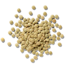 Lentils