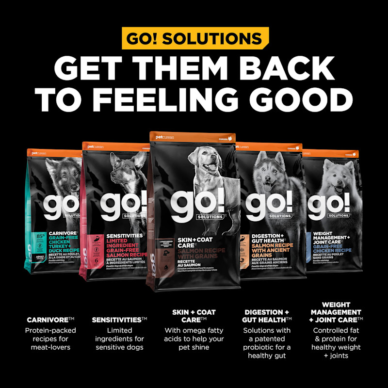Get them back to feeling good with our other dog food product lines