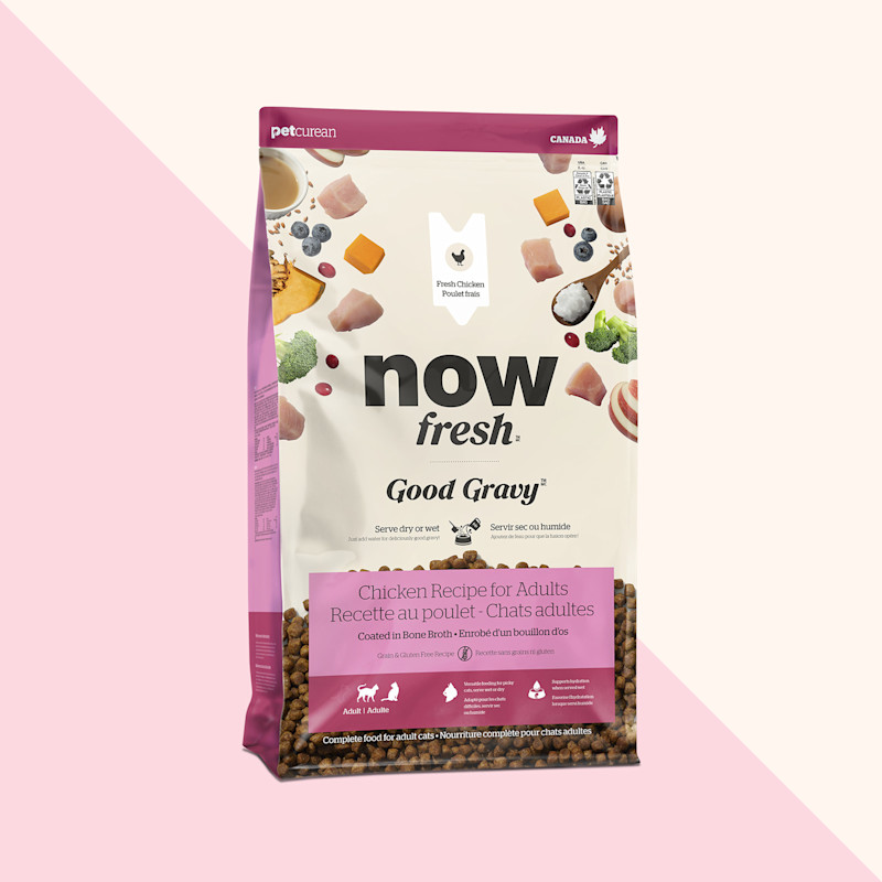 Now Fresh Good Gravy Chicken Recipe dry food for adult cats