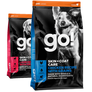 GO! SOLUTIONS SKIN + COAT CARE dry food recipes for dogs