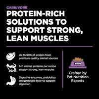 Protein-rich solutions to support strong, lean muscles