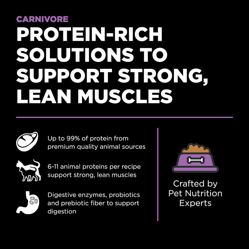 Protein-rich solutions to support strong, lean muscles