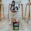 French Bulldog with Go! Booster Joint Care Chicken, Salmon + Duck pouch