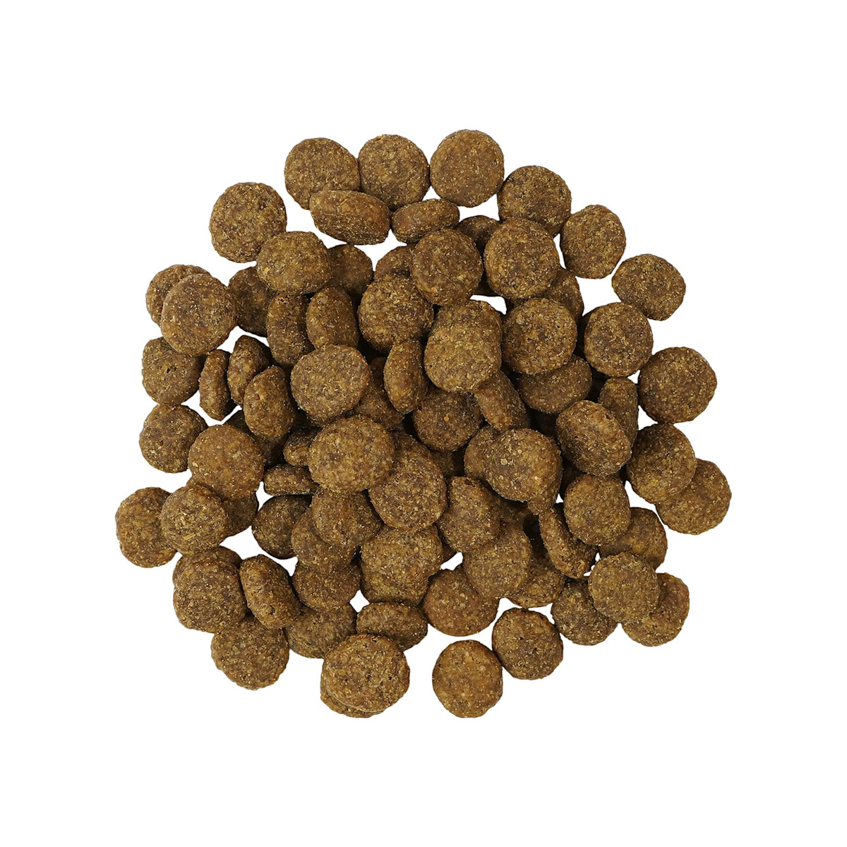 Go! Solutions Weight Management + Joint Care Salmon Recipe for Dogs kibble