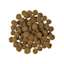 Go! Solutions Weight Management + Joint Care Salmon Recipe for Dogs kibble