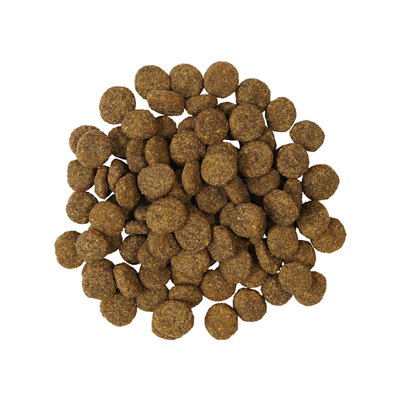 Go! Solutions Weight Management + Joint Care Salmon Recipe for Dogs kibble