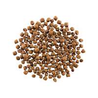 GO! SOLUTIONS SKIN + COAT CARE Chicken Recipe with Grains for Cats kibble