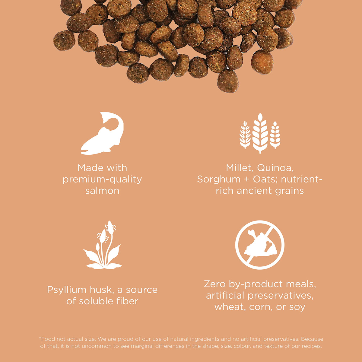 Made with premium-quality salmon, ancient grains, psyllium husk, and zero by-product meals