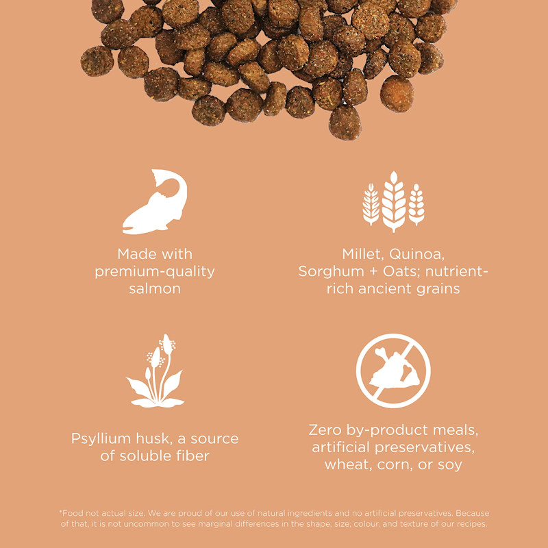 Made with premium-quality salmon, ancient grains, psyllium husk, and zero by-product meals