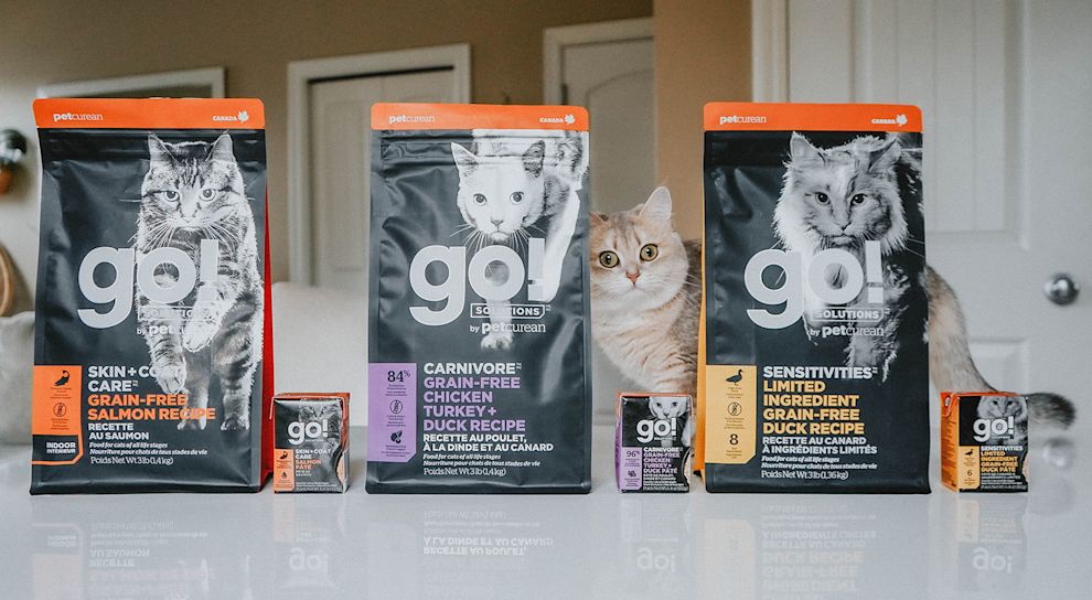 Cat with line-up of Go! Solutions wet food and kibble
