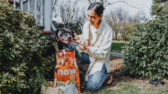 Dog with owner and kibble bag harvesting carrots from home garden